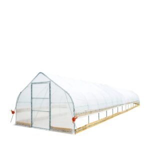 12’ x 60’ Tunnel Greenhouse Grow Tent w/6 Mil Clear EVA Plastic Film, Cold Frame, Hand Crank Roll-Up Sides, Peak Ceiling Roof, TMG-GH1260